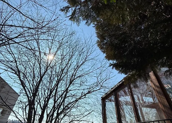 Cozy With Garden In Free Parking Грац